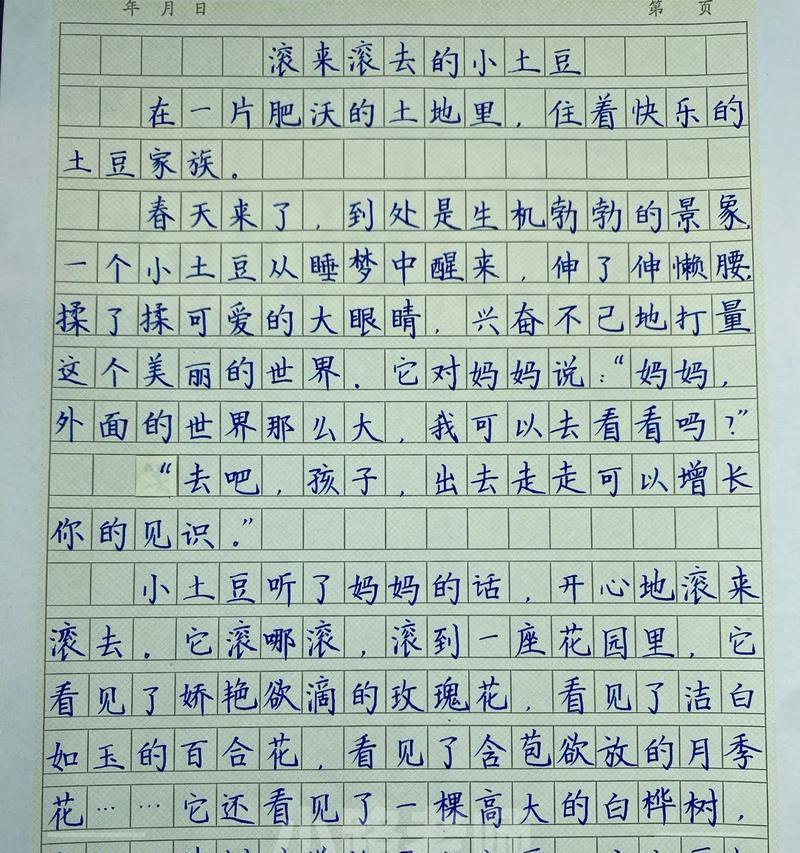 奇妙想象之夜（小男孩的冒险故事）