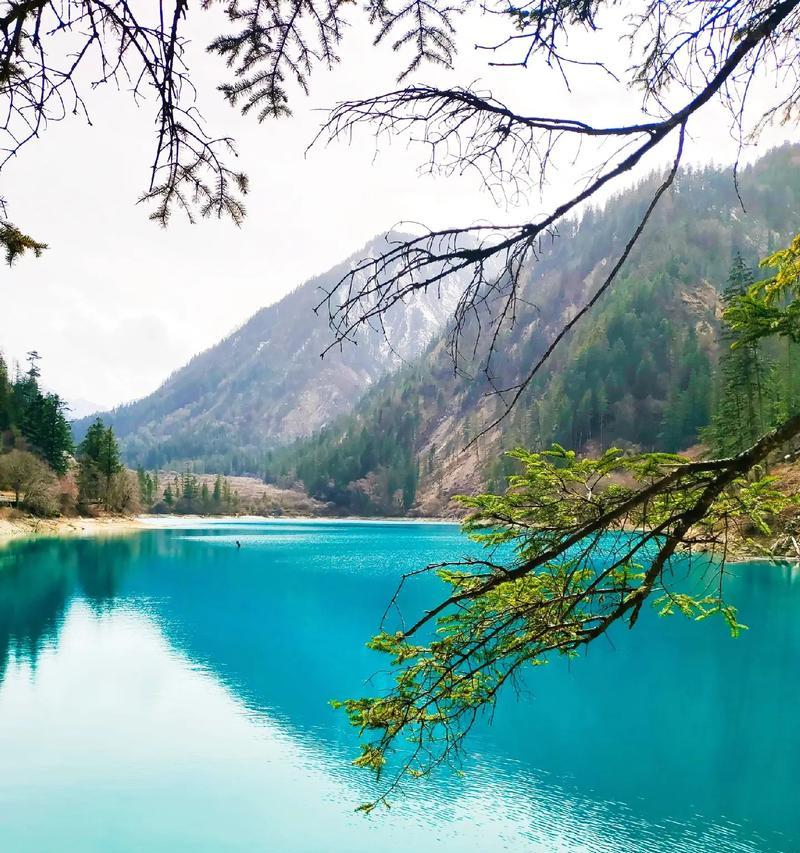 十年离乡之后，我再次回来，领略故乡的美景（十年离乡之后，我再次回来，领略故乡的美景）