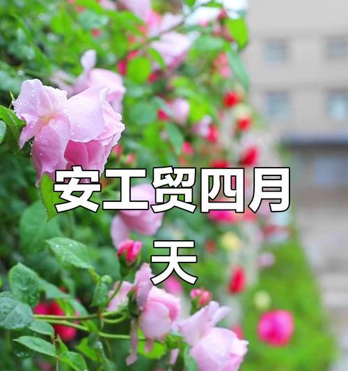 温暖与活力——一场关于成长的冒险（在追逐梦想的路上，我们一起成长）