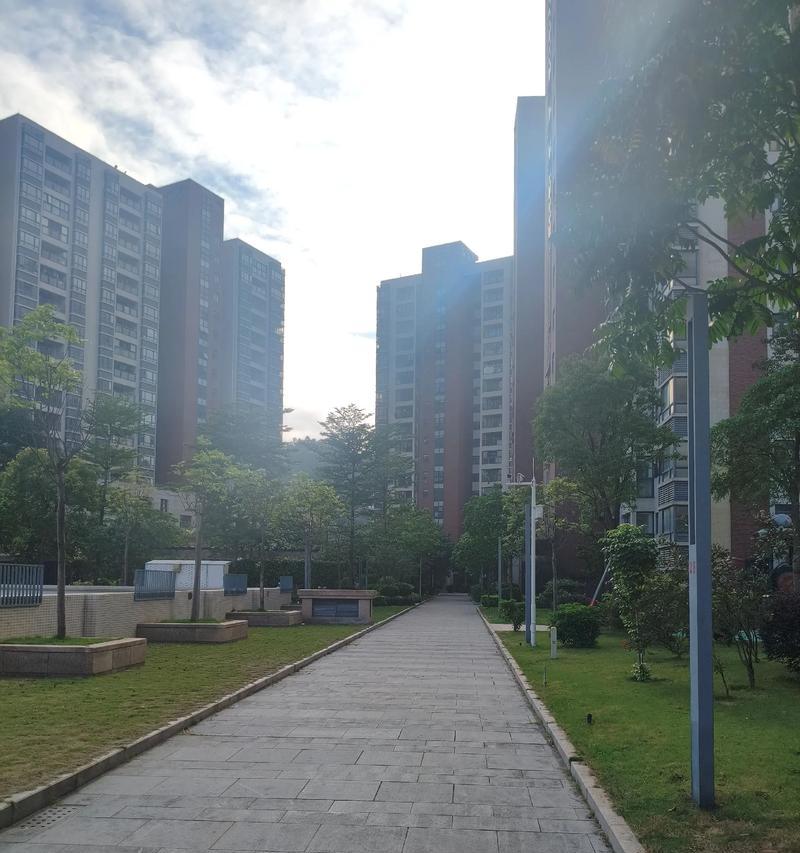冬晨跑，燃烧生命的那份热情