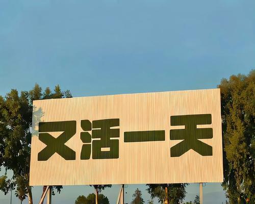 从新开始（勇气与坚持的故事）