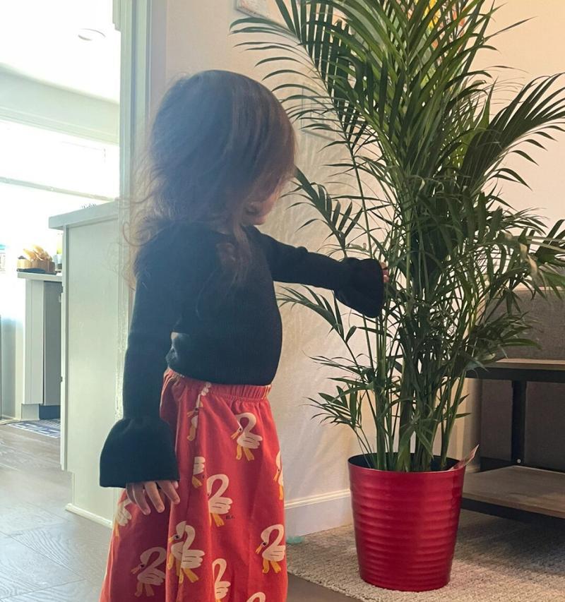 聪明可爱的妹妹