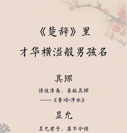 Agiftedboy（Thestoryofatalentedindividual）