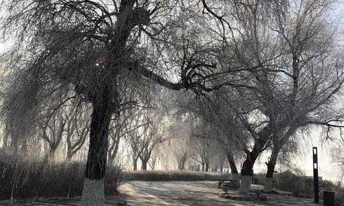 冬天的美丽与奇妙