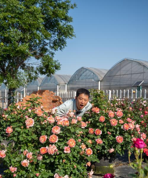 Spring,theSeasonofLifeRenewal（RediscoveringtheSimpleJoysofLifethroughNatureandCommunity）