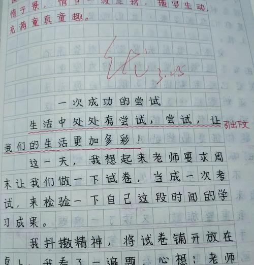 《冒险的代价》