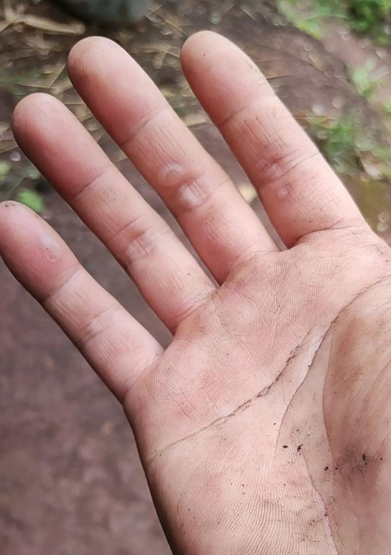 我的收获：经历教会我如何放下