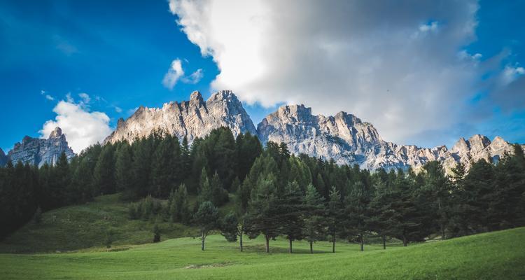 无尽的遐想:追寻内心深处的美好