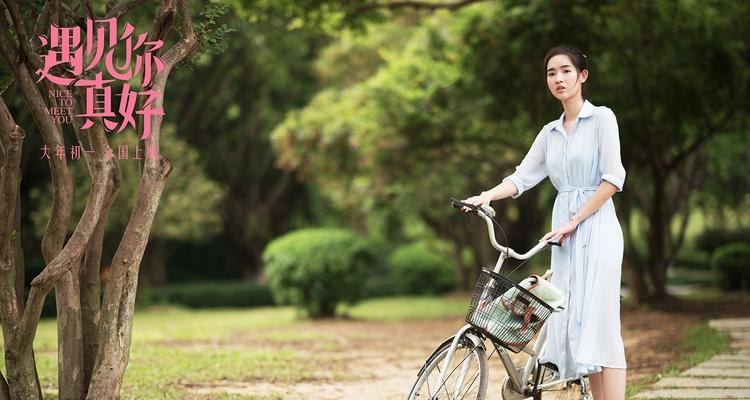 遇见青春，遇见你——一个小镇的初恋故事