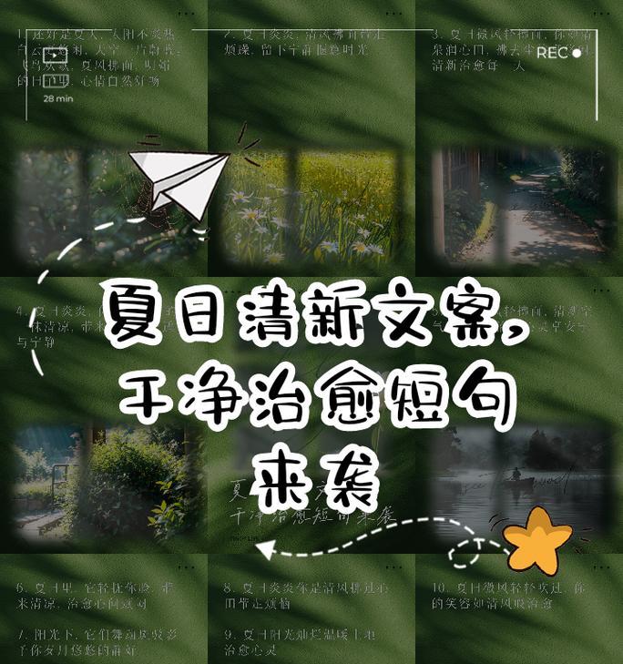 夏日之美——寻找唯美的瞬间