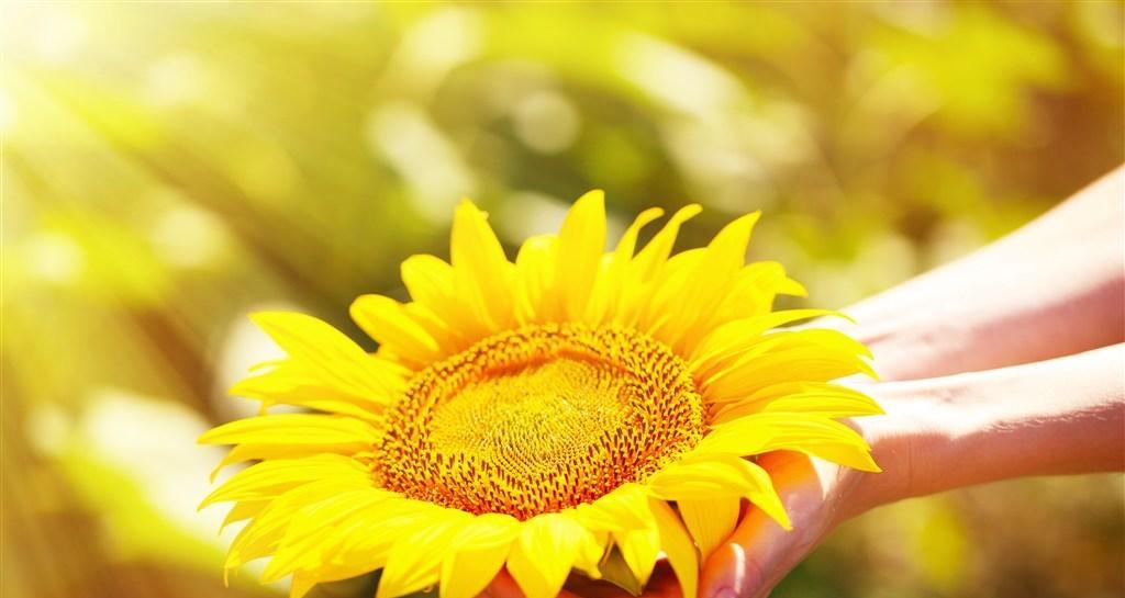 坚持自己的梦想(勇敢挑战未知)