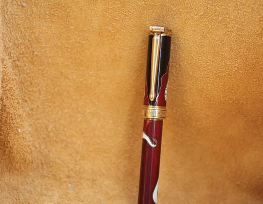 一支钢笔的陪伴（一支钢笔的陪伴）