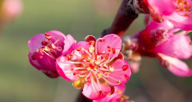 坚守初心，不负所望（一个普通人的感人成长故事）