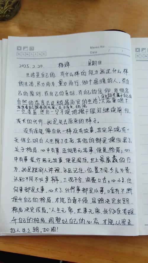 学习的力量：探索未知世界