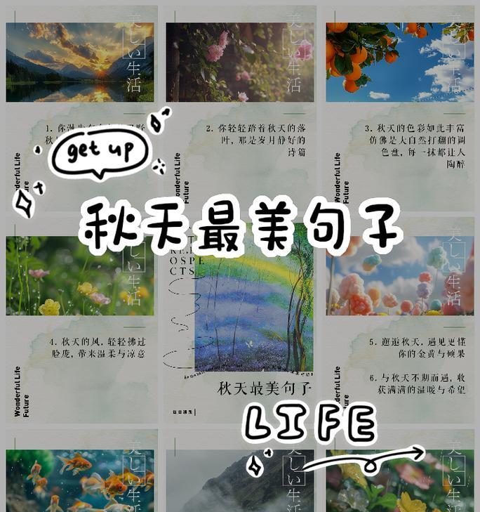 秋天的景色描写——阳光般的金秋