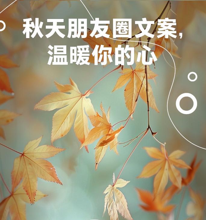 秋之美：唯美句子盘点