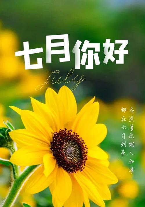 岁月如歌，六月再见七月你好朋友圈（细数那些美好的瞬间）