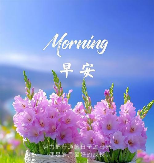 坚韧不拔的追梦人（勇敢追逐梦想的故事）