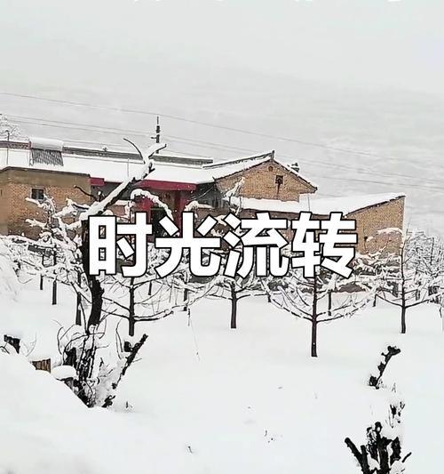 重逢，再次共度时光（用回忆拾起失去的友谊）