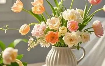 朋友的关心（友谊的力量）