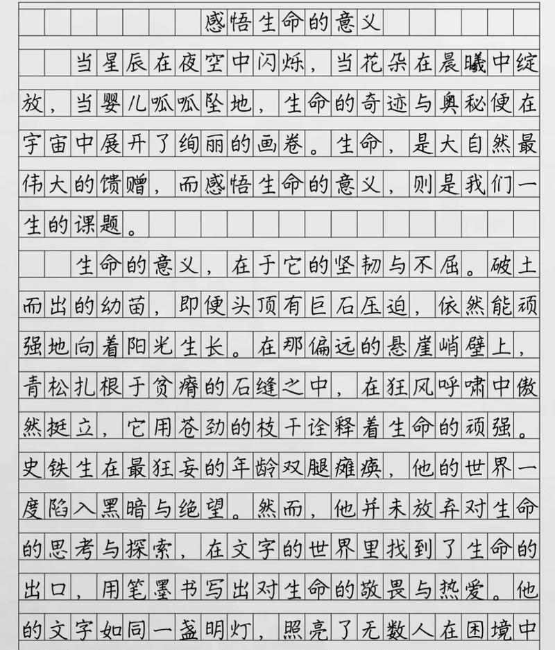 生命的美丽（感悟与启示）