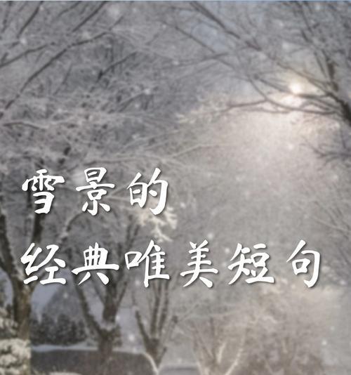 探寻雪花的神秘与美丽（探寻雪花的神秘与美丽）